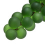 Object French Grapes Green/Vintage Brass Finish