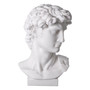 Head David White Marble