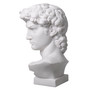 Head David White Marble