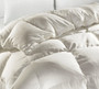 Hermitage Winter Comforter Queen