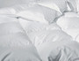 Sweet Dreams Winter Comforter Queen
