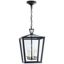 Darlana Small Hanging Lantern in Bronze