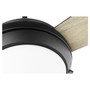 Expo 60" 3 Blade LED Fan - Black