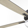 Ovation Clear Seeded Bowl - Black