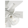 Breeze 52 3 Light Clear Seeded - White