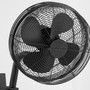 Cyprus 13" Wall Fan - Black