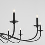 Maryse 10 Light Chandelier - Black