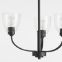 Reyes 3 Light Clear Seeded Chandelier- Black