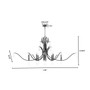 Majesty 8 Light Ellipse - Black