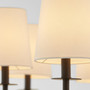 Belshaw 8 Light Chandelier - Black
