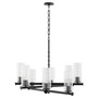 Juniper 8 Light Chandelier - Black