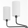 Charlotte 5 Light Chandelier - Black