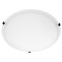 20" Satin Opal Ceiling Mount - Black