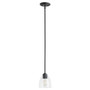 Reyes Clear Seeded Pendant - Black