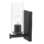 Juniper 1 Light Wall Mount - Black