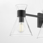 Beldar 4 Light Clear Vanity - Black