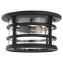 Haley 11" Ceiling Mount - Black
