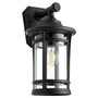 Haley 15" Lantern - Black
