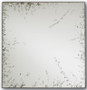 René Square Mirror