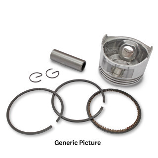 Piston Assembly inc Rings 67251266
