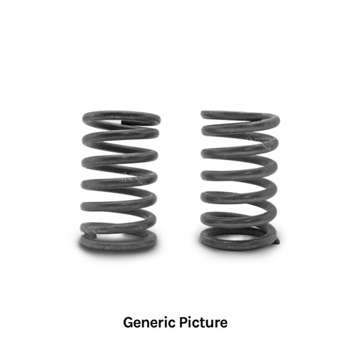 Valve Springs (set) 12136972