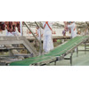 Conveyor Belt, Food Conveyor