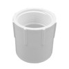 Pipe Adapter, Adapter, Socket x FNPT End, SCH 40, Molded, PVC, Nitrile Seal, White, 140 deg F, Domestic