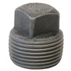 Plug, Square Head, Plug, NPT End, SCH 160, 3000 lb, Forged, Steel