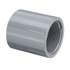 Pipe Adapter, Slip Socket x FNPT End, SCH 80, Molded, Chlorinated PVC, 210 deg F, Gray, Adapter