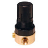 Relieving Regulator, Miniature, 1/4 in Port, 10 scfm, 0 to 125 psi, 40 to 120 deg F, Brass, R36402CK