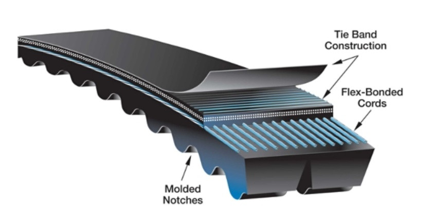GATES V-Belt, 3VX Section Heavy Duty, 3VX Section, 0.39 in Wd Top, 0.31 in Thk, 3 -Rib, 3.82 in Min Dia Pulley, 3 -Band