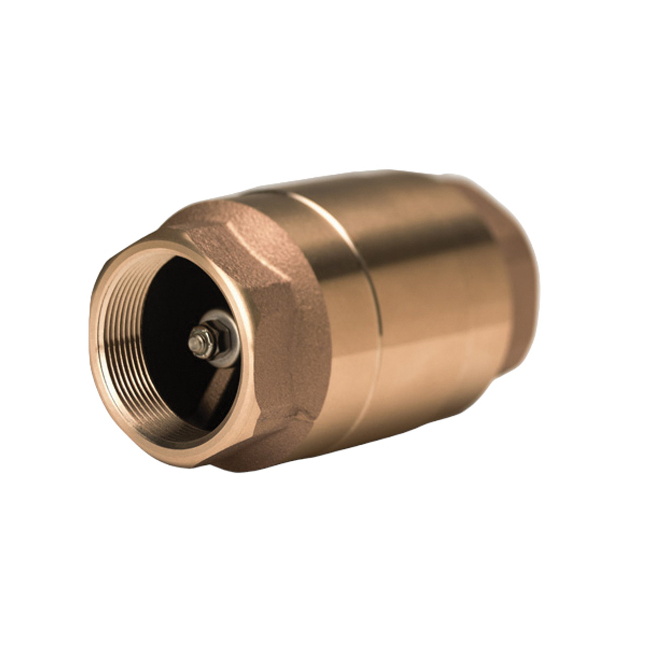 Check Valve, Spring, NPT End, 400 psi, 225 deg F, Air,  Non-Potable Water, Bronze Body, Buna-S Seal