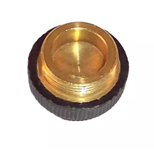 Brush Retaining Screw