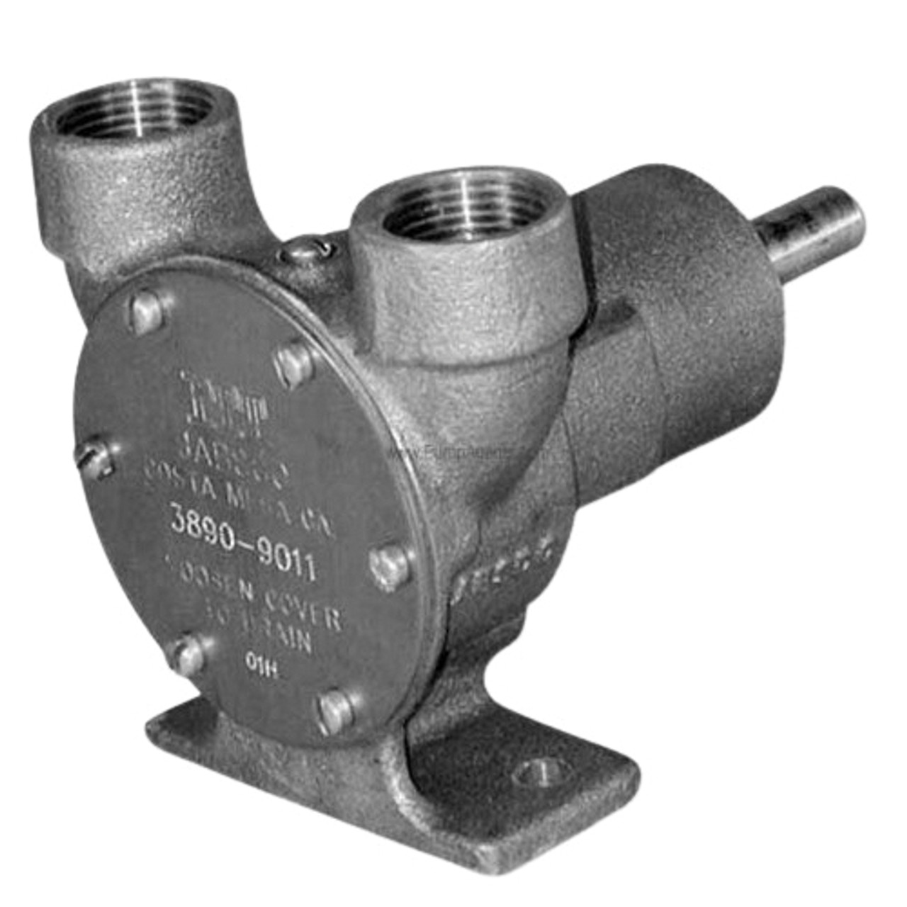 Self Priming Pump, 11.3 gpm, 3/4 in NPT Inlet, 3/4 in NPT Outlet, 1750 rpm, Flexible Impeller, Pedestal Mount, 4 in wd