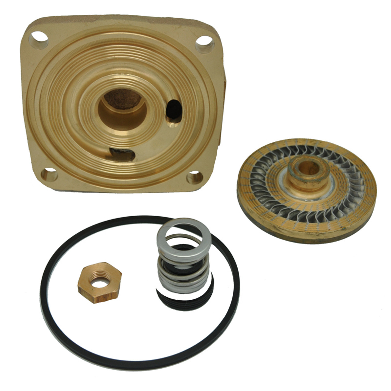 Repair Kit, Centrifugal Pump, Impeller,  Raceway,  Shaft Seal,  O-Ring Gasket,  Impeller Locknut,  and Instructions, Suitable For CT6M Series Pumps, Cast Iron