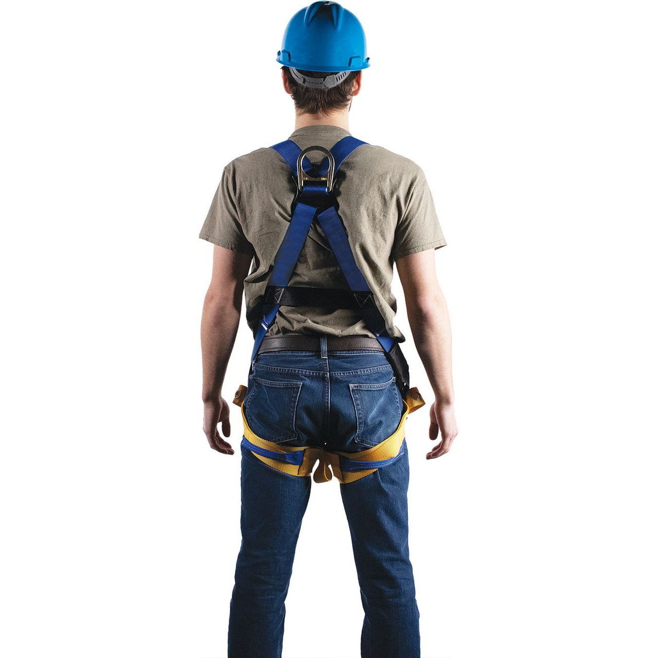 Harness, Alloy Steel Hardware, Blue , X-Large, 310 lb, Tongue Leg Strap Buckle, Slotted Pass-Thru Chest Strap Buckle, Polyester Strap