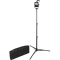 RECHARGEABLE LED AREA LIGHT