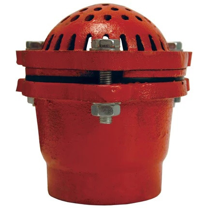 DIXON Foot Valve, Threaded, NPT End, 70 deg F, Cast Iron Body, Painted, Domestic