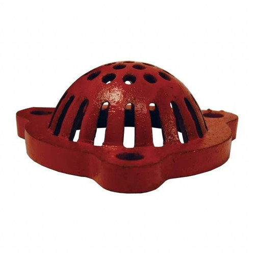 Foot Valve, Strainer, NPT End, 70 deg F, Cast Iron Body, Painted, Domestic Foot Valve, Strainer, NPT End, 70 deg F, Cast Iron Body, Painted, Domestic