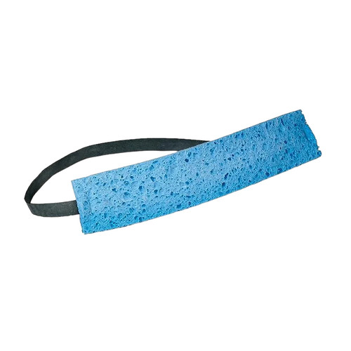 Sweatband, Blue Color