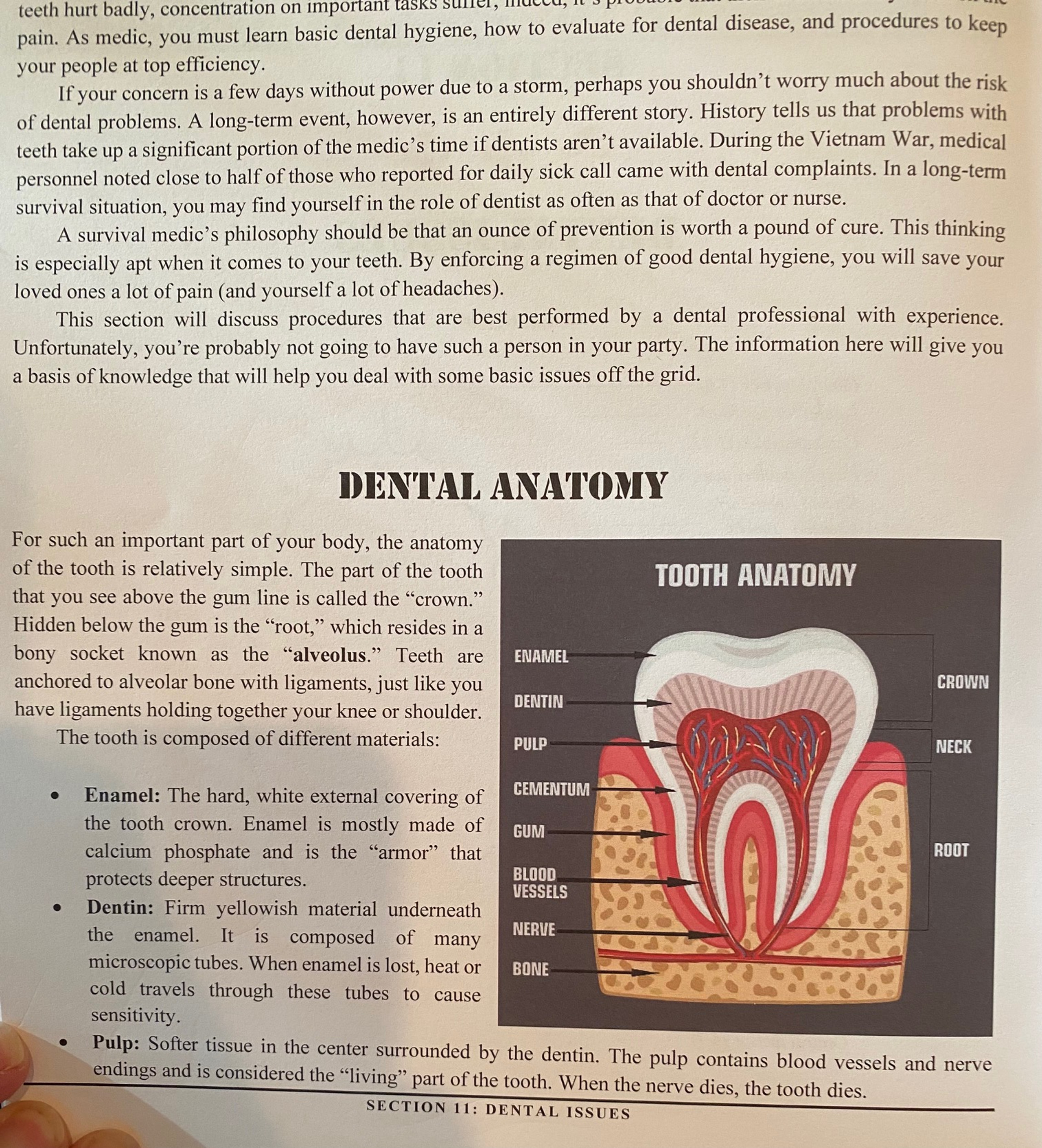 the doom and bloom survival medicine handbook