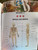 The Survival Medicine Handbook color version image, bones in the body