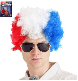 Australia Day Afro Wig | Oceana