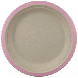 Eco Occasions Sugarcane Lunch Plates Pink | Alpen