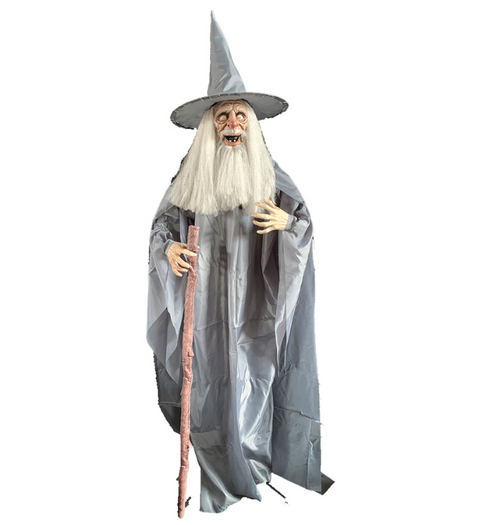 Halloween Animated Life Size Standing Wizard