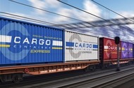 ​Cargo securing for rail transport & multimodal transport