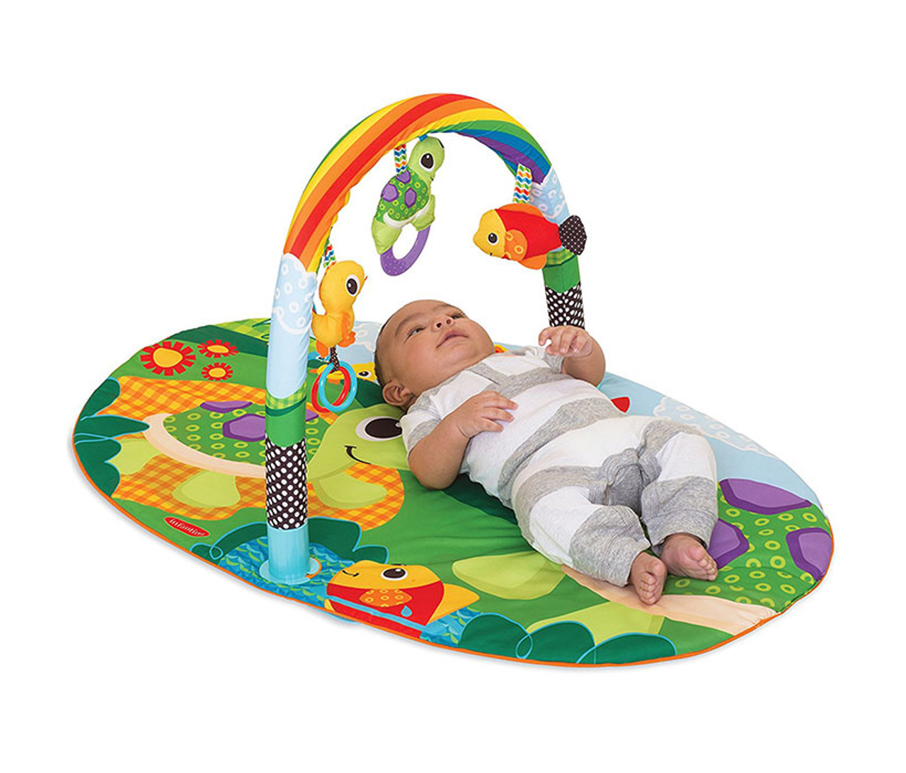 infantino explore and store activity gym