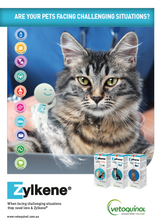 Zylkene 450mg (30 Capsules) - Pet Care Pharmacy