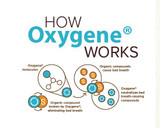 How Oxygene Works