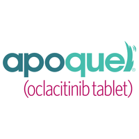 Apoquel (Oclacitinib) 16mg 100 Tablets for Dogs - generic Oclacitinib - dosage 16 mg